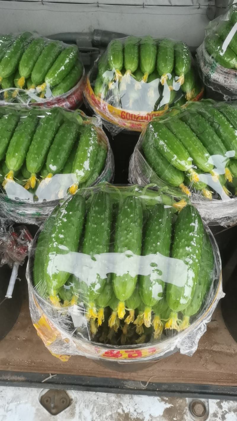 需要的联系我