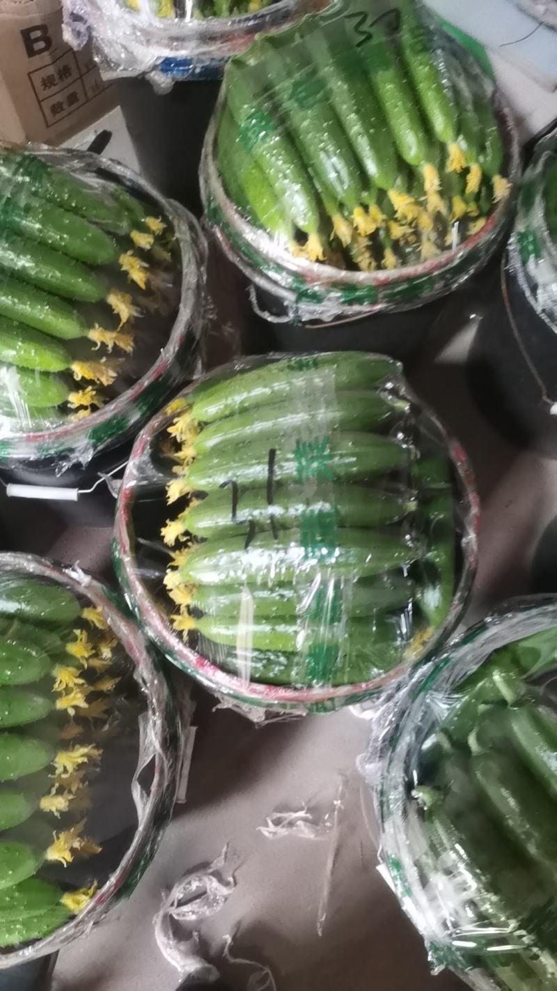 需要的联系我