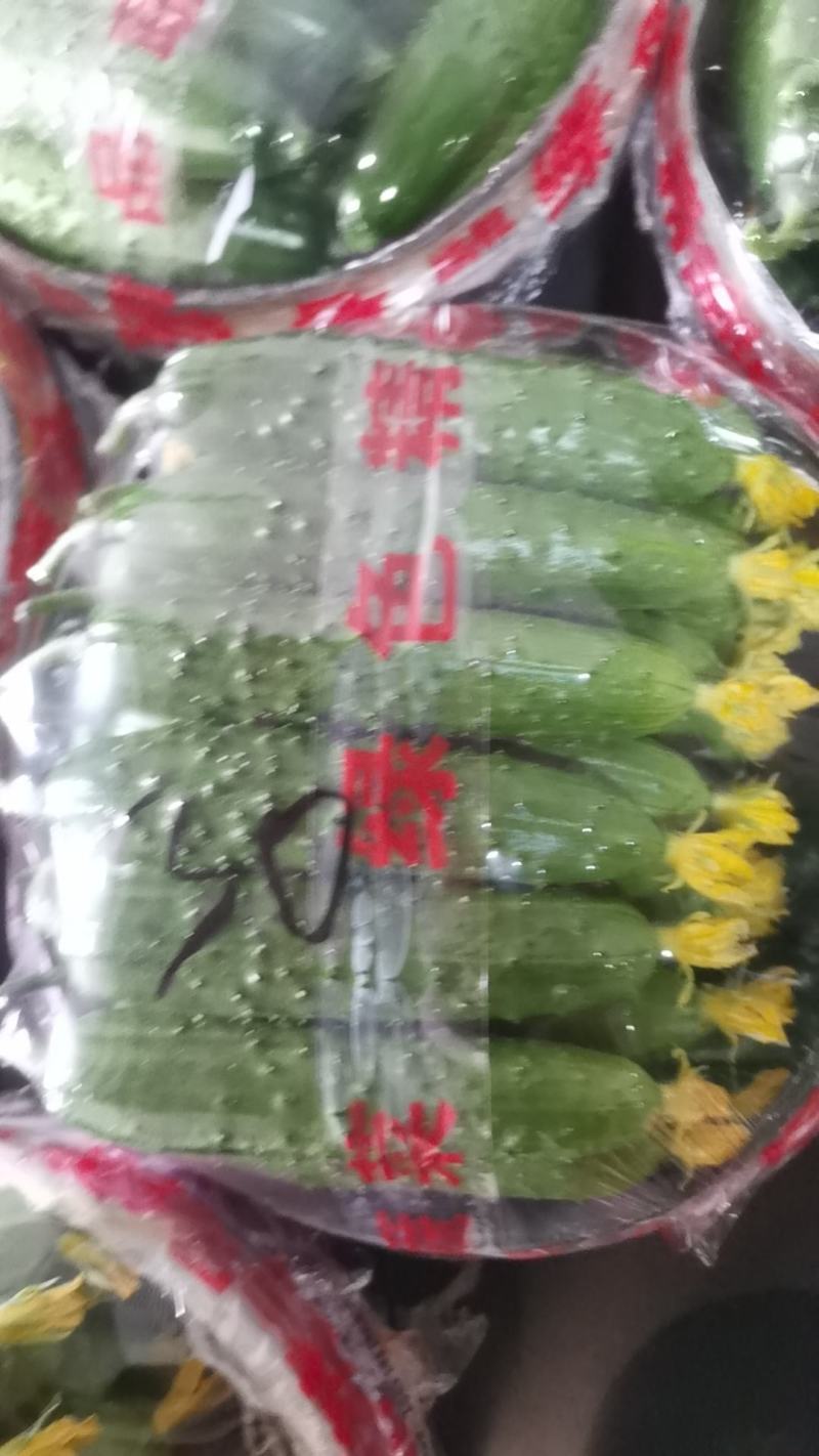 需要的联系我