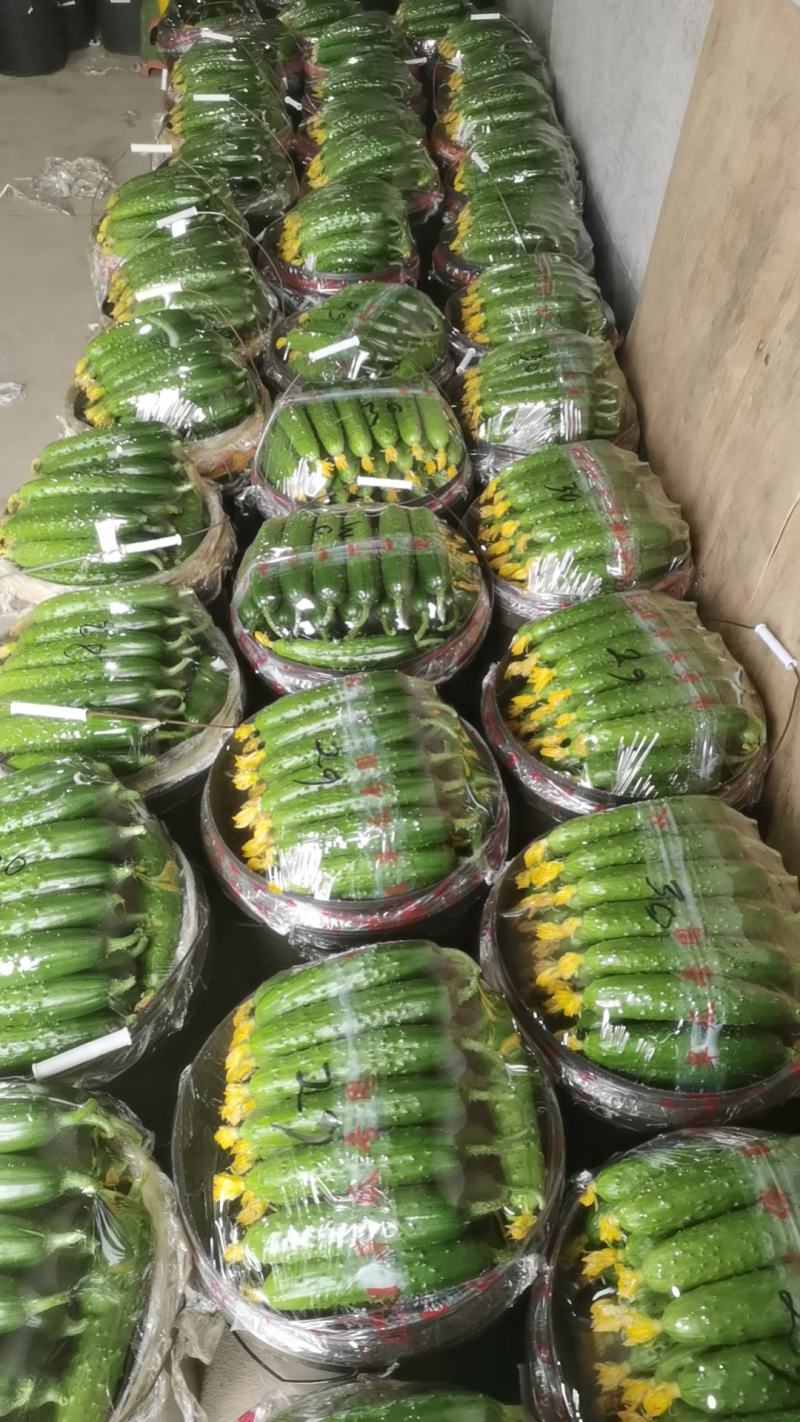 需要的联系我