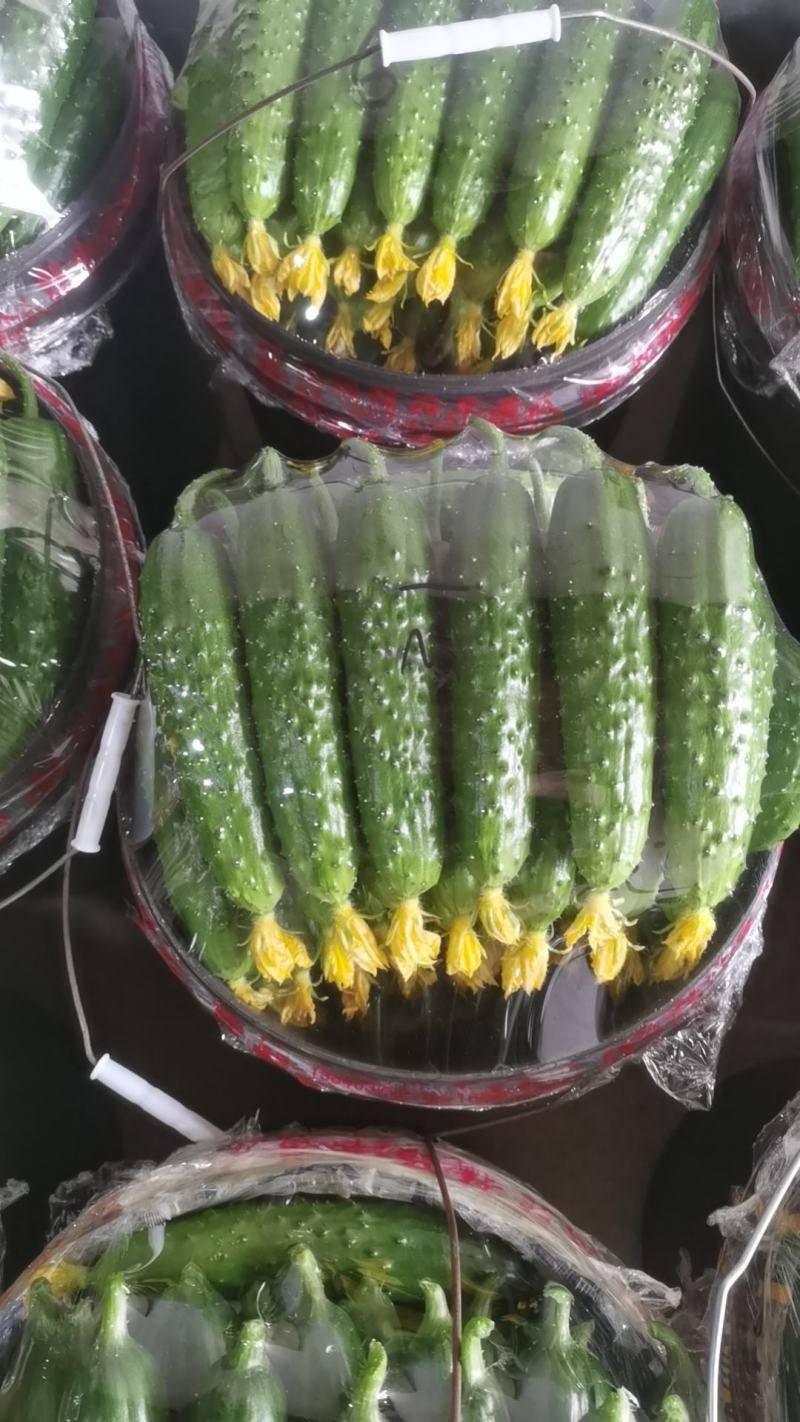 需要的联系我