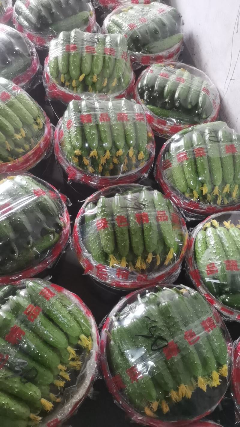 需要的联系我