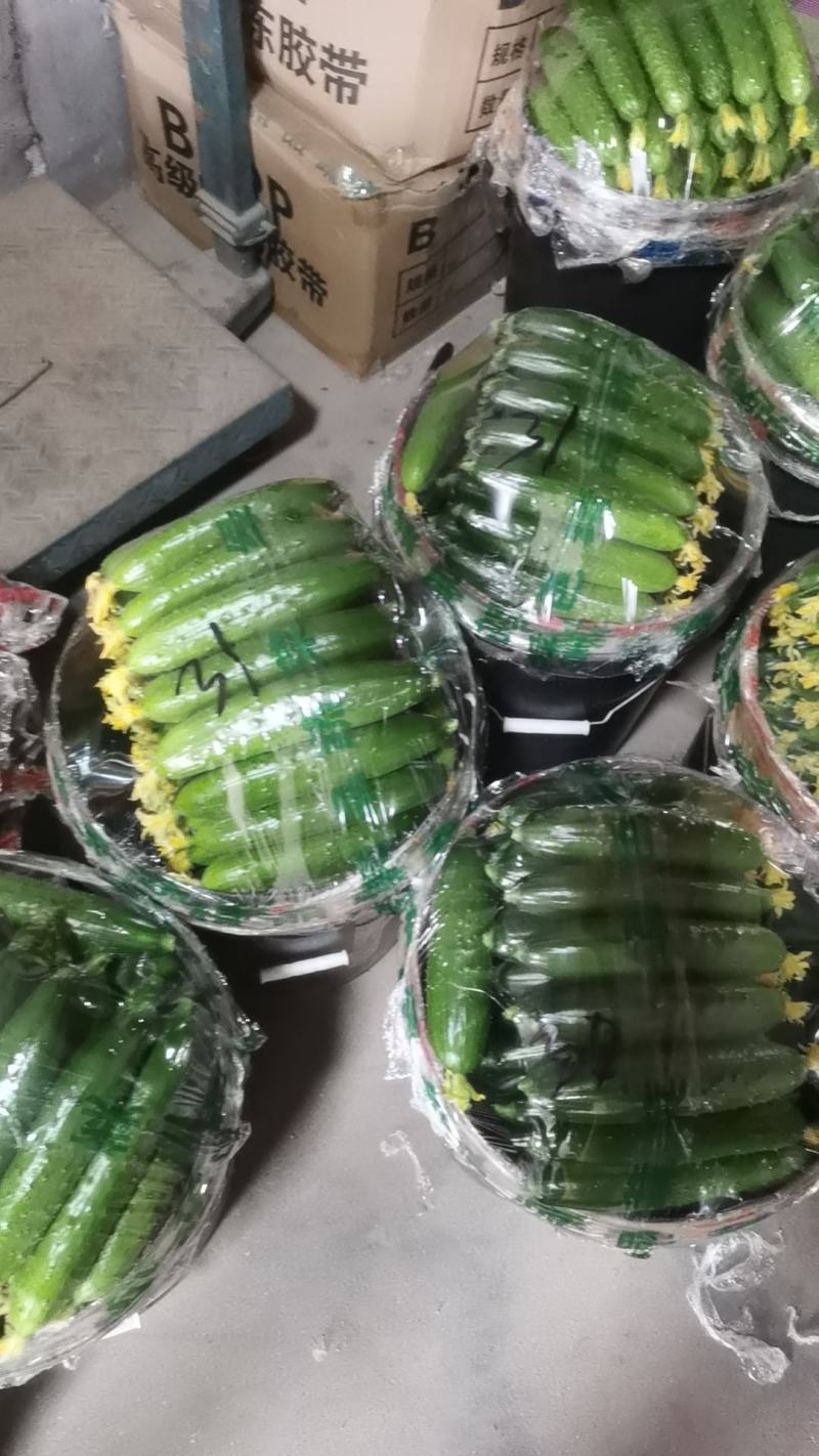 需要的联系我