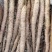 【推荐】甘肃麻山药量大从优一条龙服务保质保量现挖现发