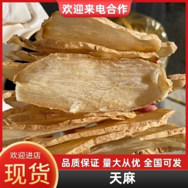 大别山天麻，原产地直发供应稳定欢迎选购
