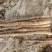 【推荐】甘肃麻山药量大从优一条龙服务保质保量现挖现发