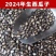 甘肃生西瓜子全国发货大量现货一手货源产地直发