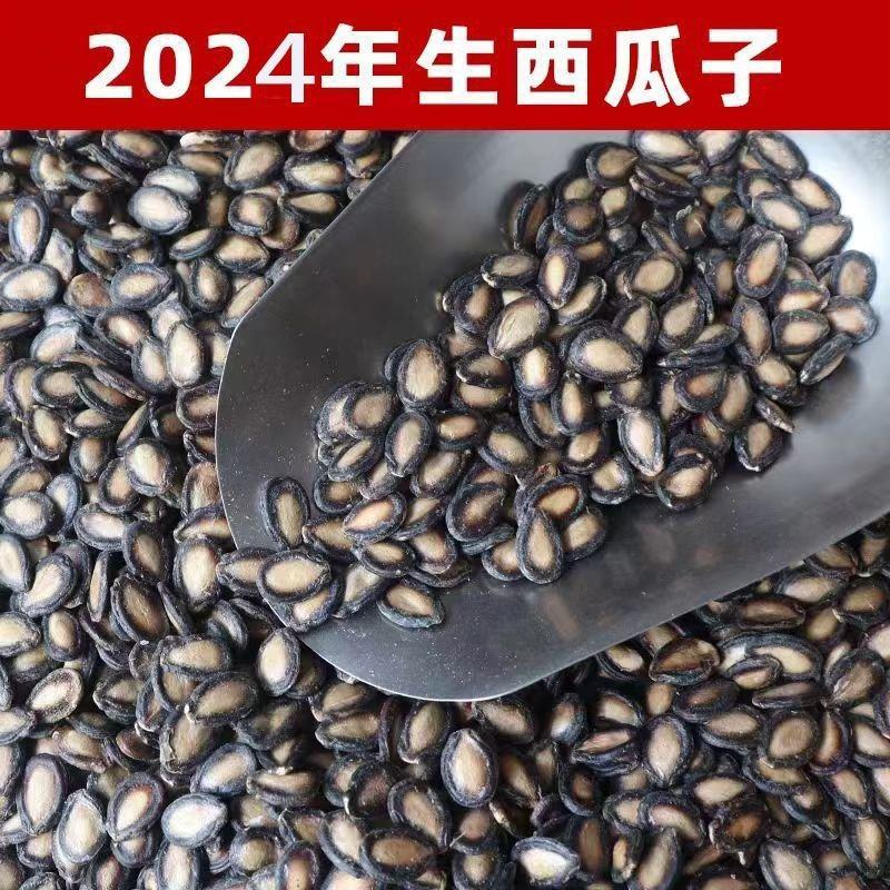 甘肃生西瓜子全国发货大量现货一手货源产地直发