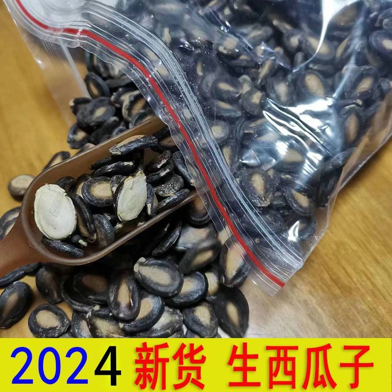 甘肃生西瓜子全国发货大量现货一手货源产地直发