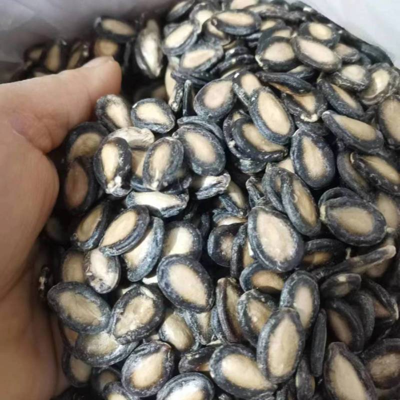 甘肃生西瓜子全国发货大量现货一手货源产地直发