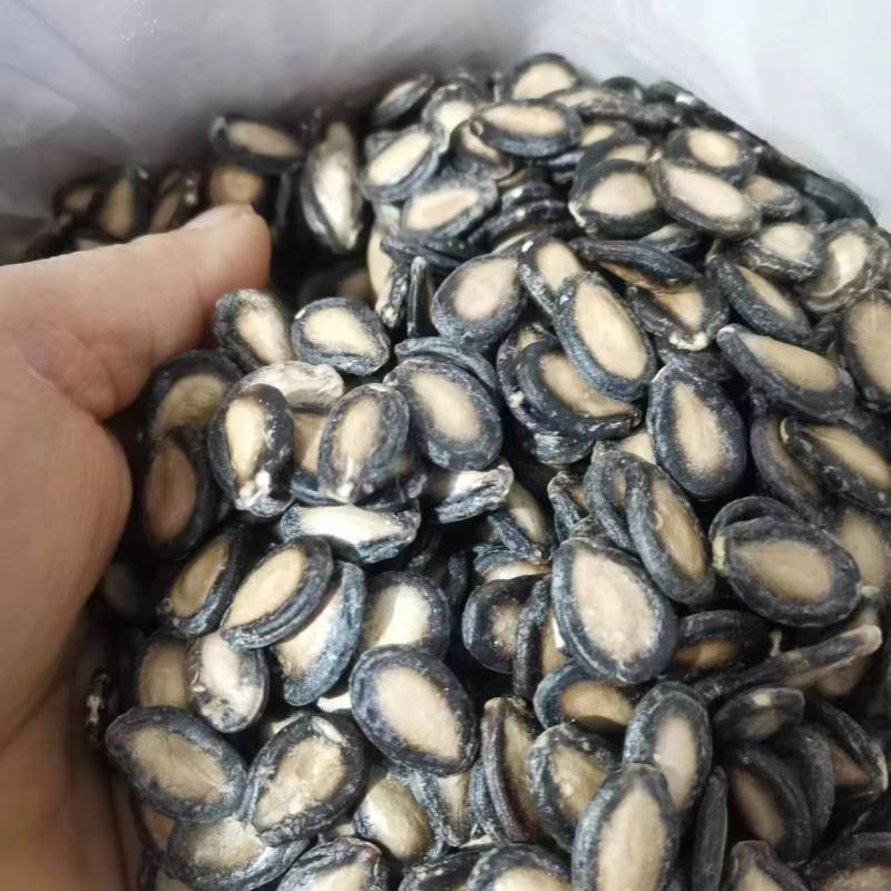 甘肃生西瓜子全国发货大量现货一手货源产地直发