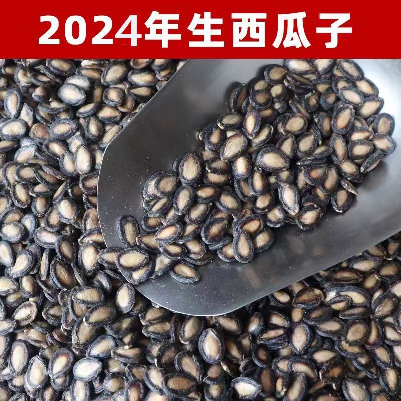 甘肃生西瓜子全国发货大量现货一手货源产地直发