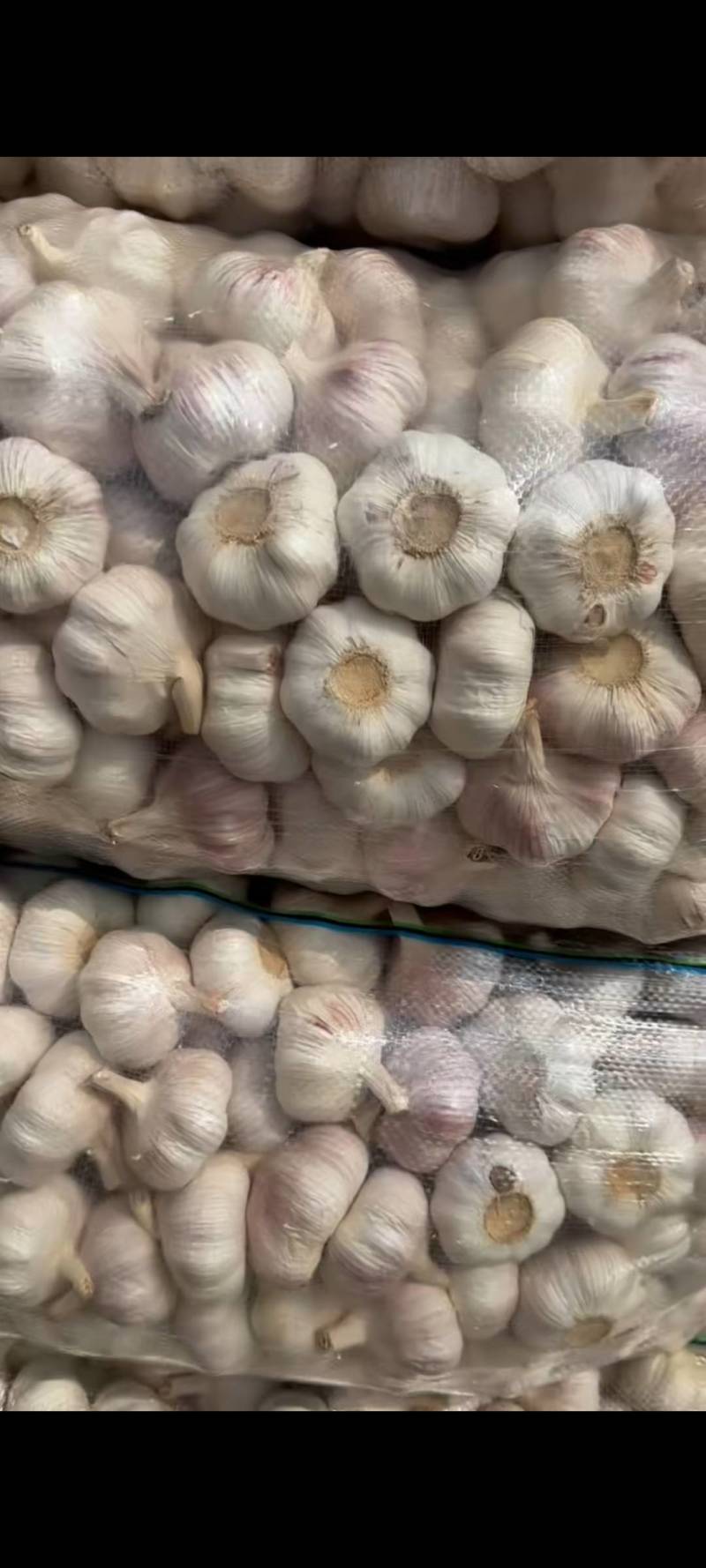 大家好，我是做江苏省邳州市精品红蒜，货源充足质量**