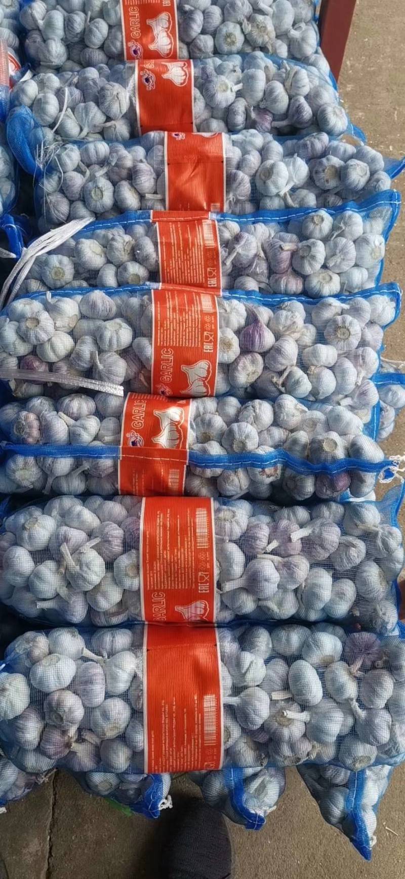 大家好，我是做江苏省邳州市精品红蒜，货源充足质量**