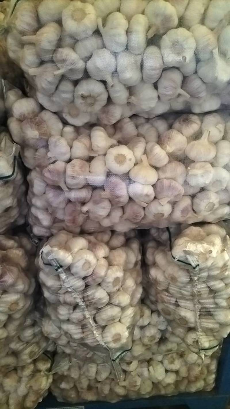 江苏省邳州市精品红蒜