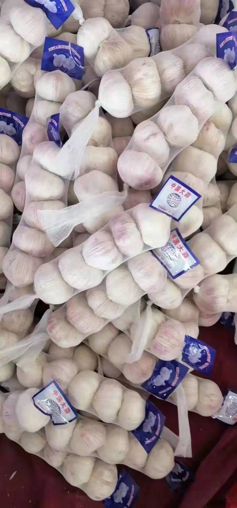 江苏省邳州市精品红蒜