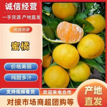 高山蜜桔自产自销，价格便宜，量大从优，一条龙服务。