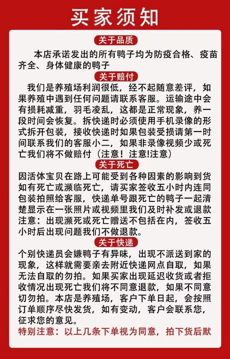 买15送15只路损黑番鸭正宗红头鸭苗西洋鸭小体飞鸭
