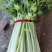 精品芹菜货源充足量大从优质量保证诚信经营欢迎咨询