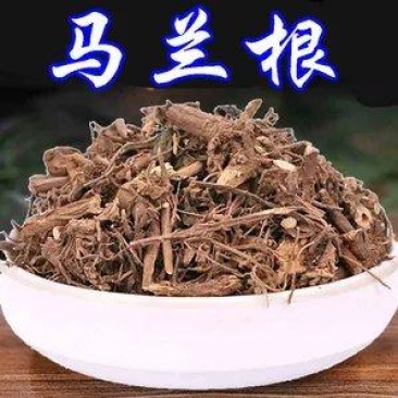 马兰根