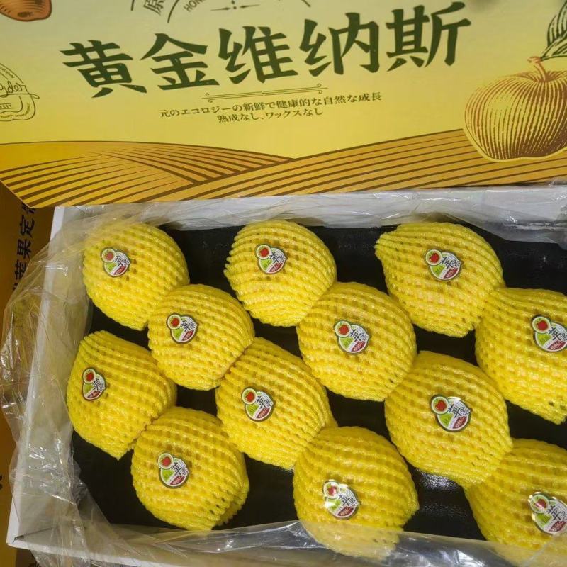 山东烟台维纳斯黄金苹果新鲜采摘产地直供