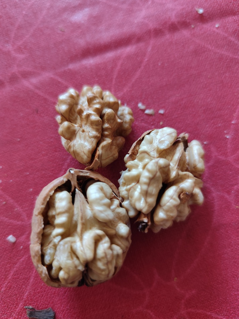 陕西核桃清香核桃，自家种植一手货源，视频看货全国发货