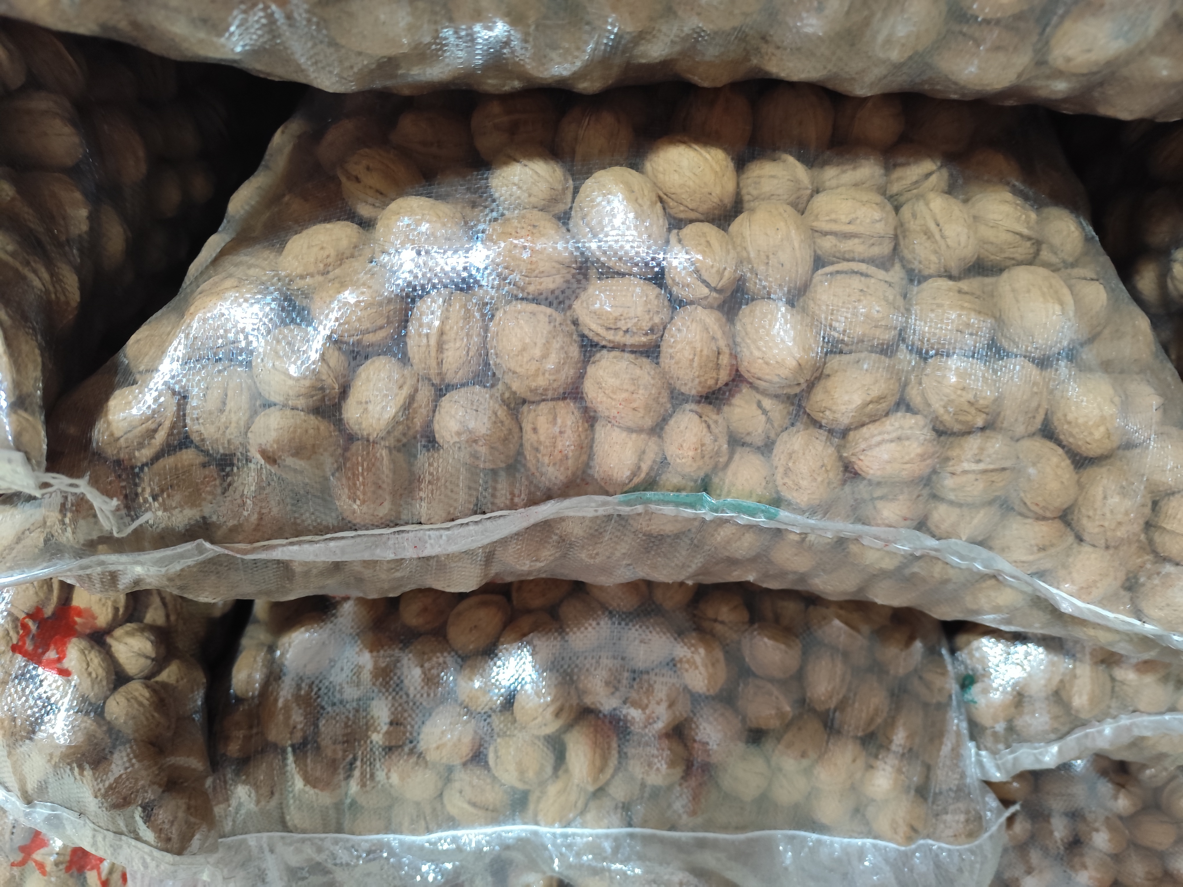 清香核桃实物图