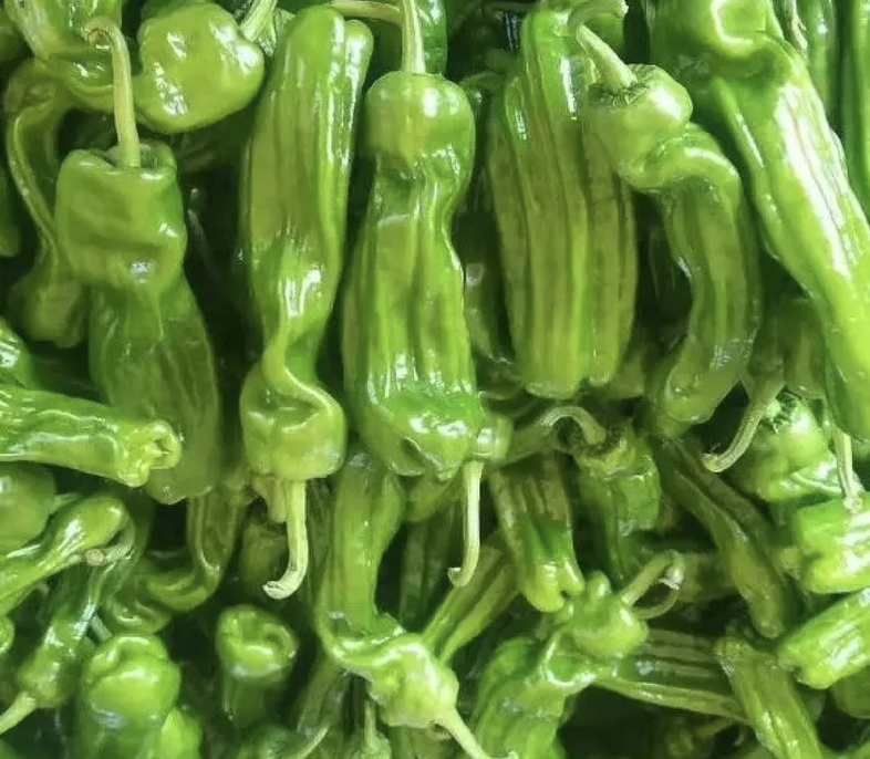 配图描述：新鲜的薄皮椒整齐摆放在案板上，表面略带褶皱，色泽翠绿