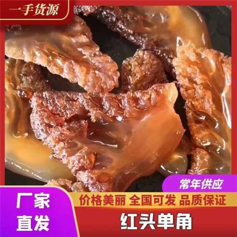 【红海蜇头】山东沾化海蜇产地供货全国接单常年不断承接批发