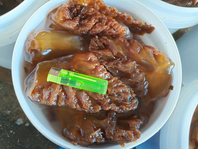 【红海蜇头】山东沾化海蜇产地供货全国接单常年不断承接批发
