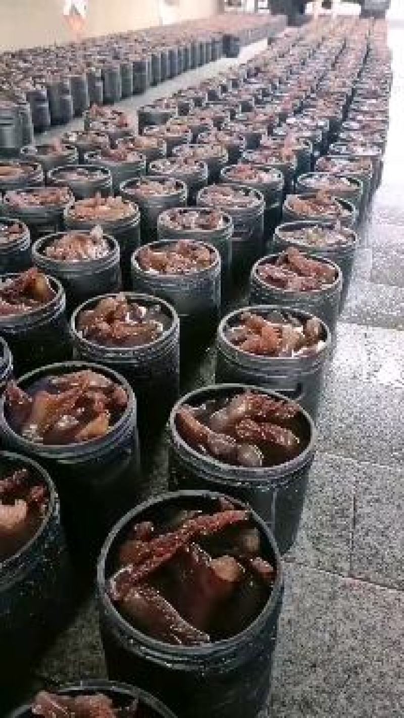 【红海蜇头】山东沾化海蜇产地供货全国接单常年不断承接批发