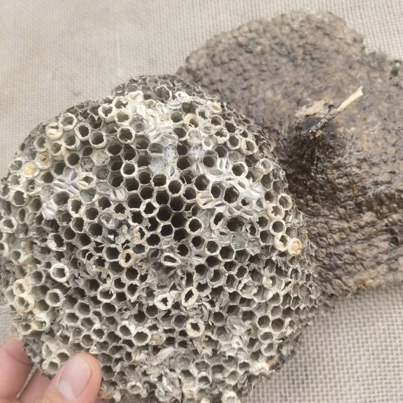 蜂房露蜂房新货大统软蜂房关书药材品质保证规格齐全