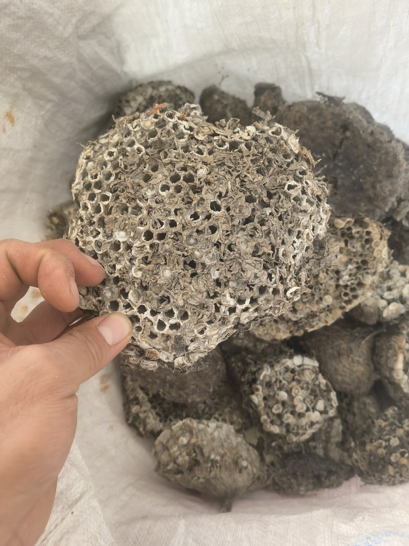 蜂房露蜂房新货大统软蜂房关书药材品质保证规格齐全