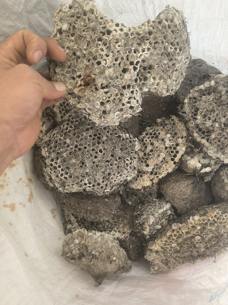蜂房露蜂房新货大统软蜂房关书药材品质保证规格齐全