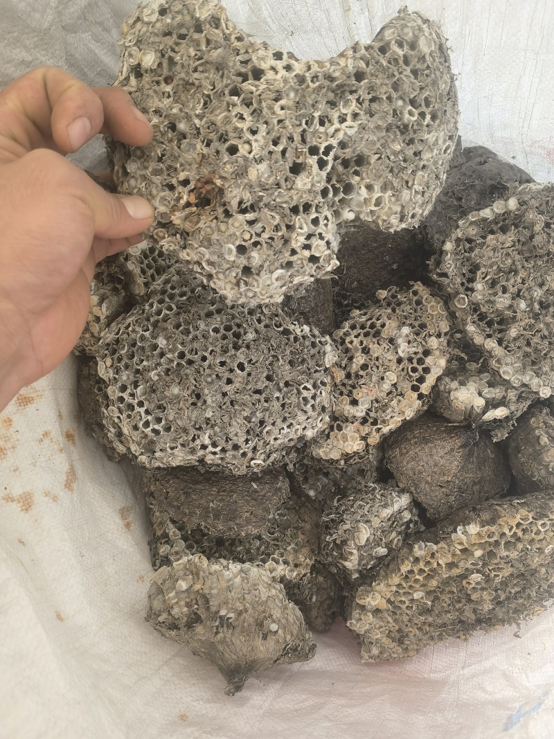 蜂房露蜂房新货大统软蜂房关书药材品质保证规格齐全