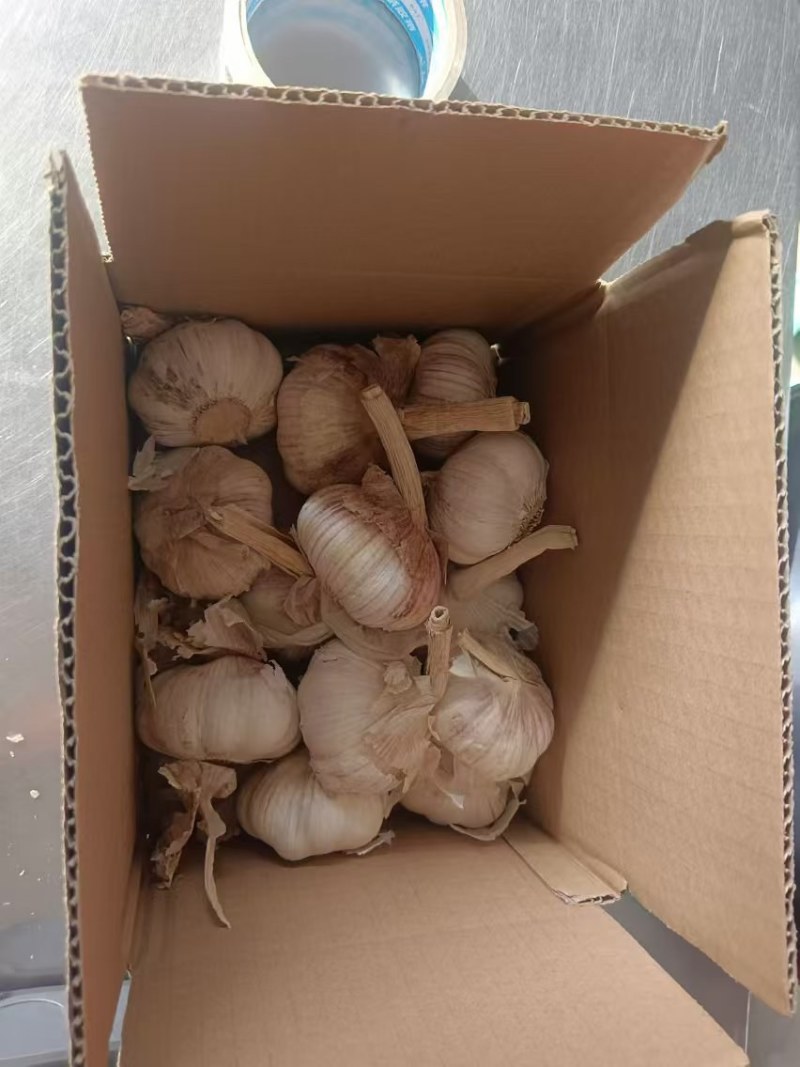 大蒜全国发货电话联系金乡大蒜紫皮大蒜原产地发货