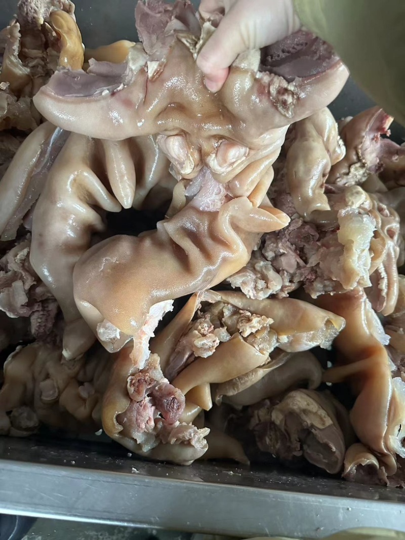 全熟牛蹄带火烧毛牛腿带筋全国冷藏运输牛蹄