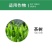汤普森~迅极10%联苯菊酯水乳剂~茶树茶小绿叶蝉正品农药
