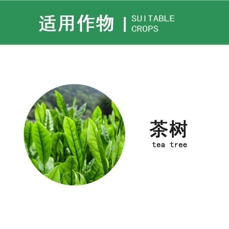 汤普森~迅极10%联苯菊酯水乳剂~茶树茶小绿叶蝉正品农药