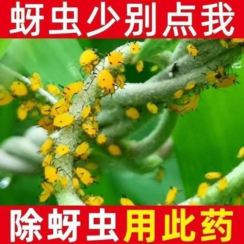 高针15%高效氯氟氰菊酯吡虫啉小麦蚜虫吸浆虫正品农药杀虫