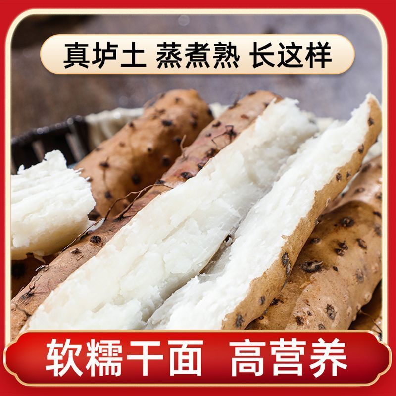 河南特产温县垆土地铁棍山药一箱