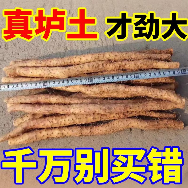 河南特产温县垆土地铁棍山药一箱