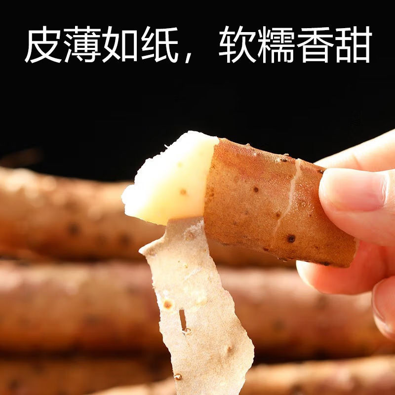 河南特产温县垆土地铁棍山药一箱