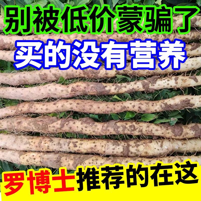 河南特产温县垆土地铁棍山药一箱