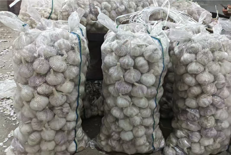金乡大蒜紫皮大蒜原产地发货大蒜头全国发货欢迎联系
