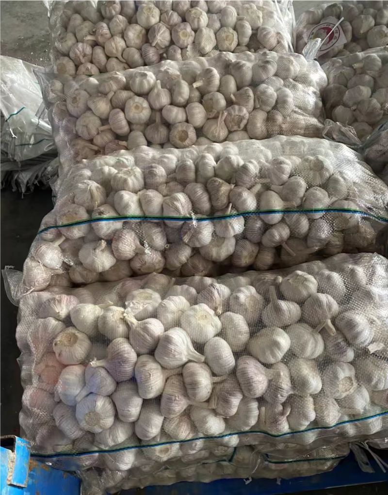 金乡大蒜紫皮大蒜原产地发货大蒜头全国发货欢迎联系