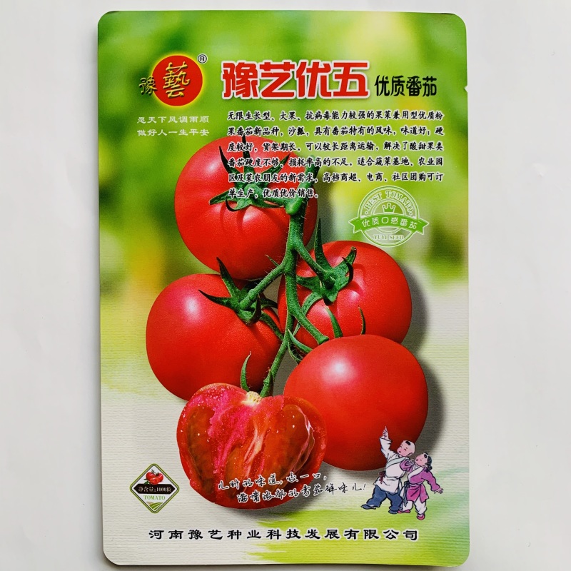 豫艺优五水果番茄种子沙瓤高糖柿子TY番茄粉果西红柿种子