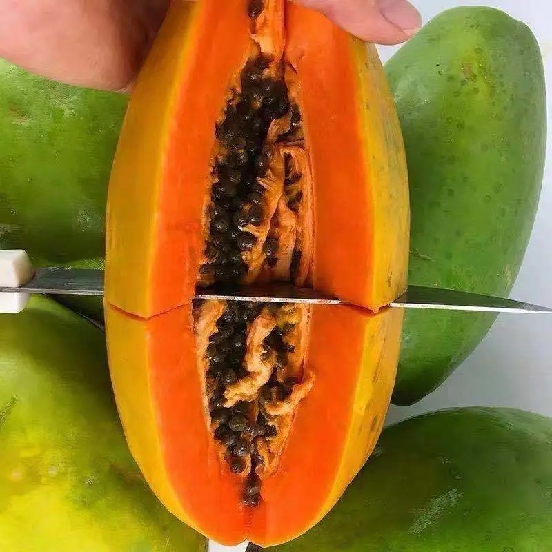牛奶木瓜