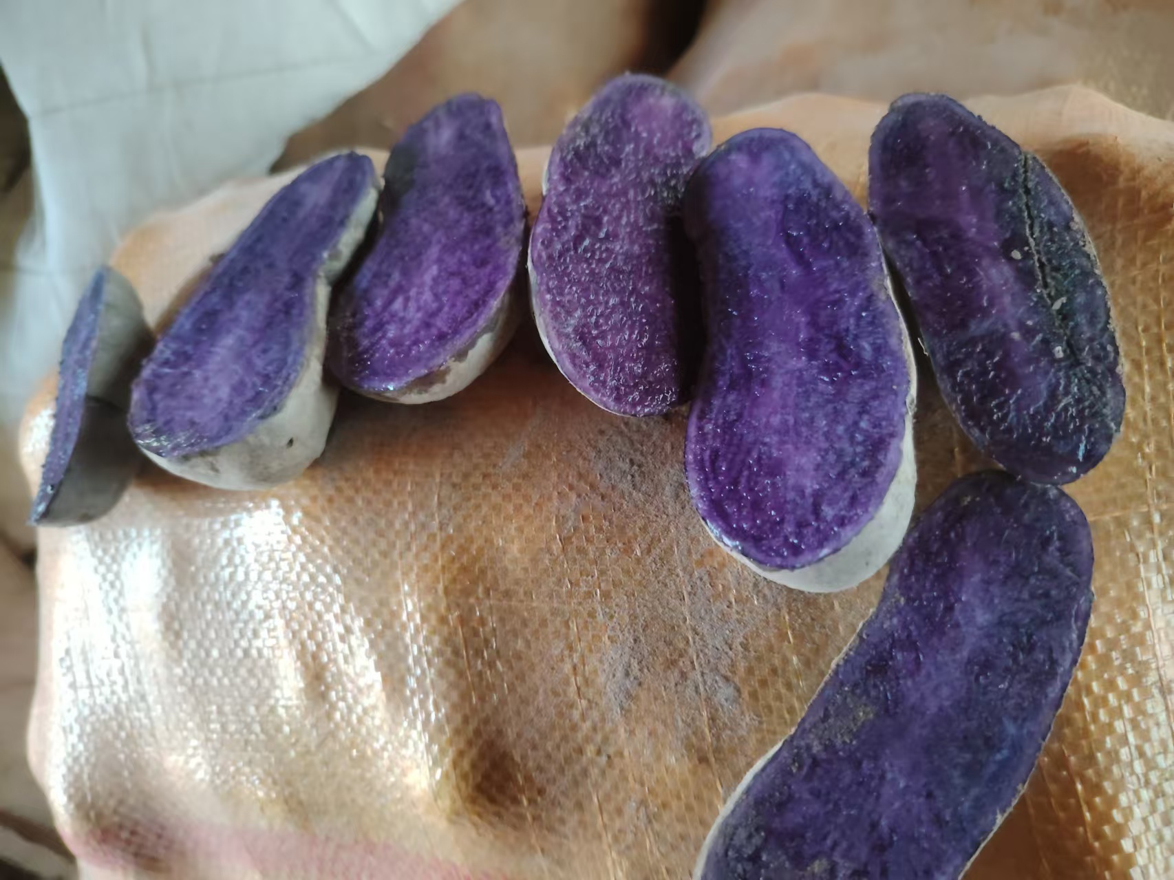 黑美人马铃薯实物图