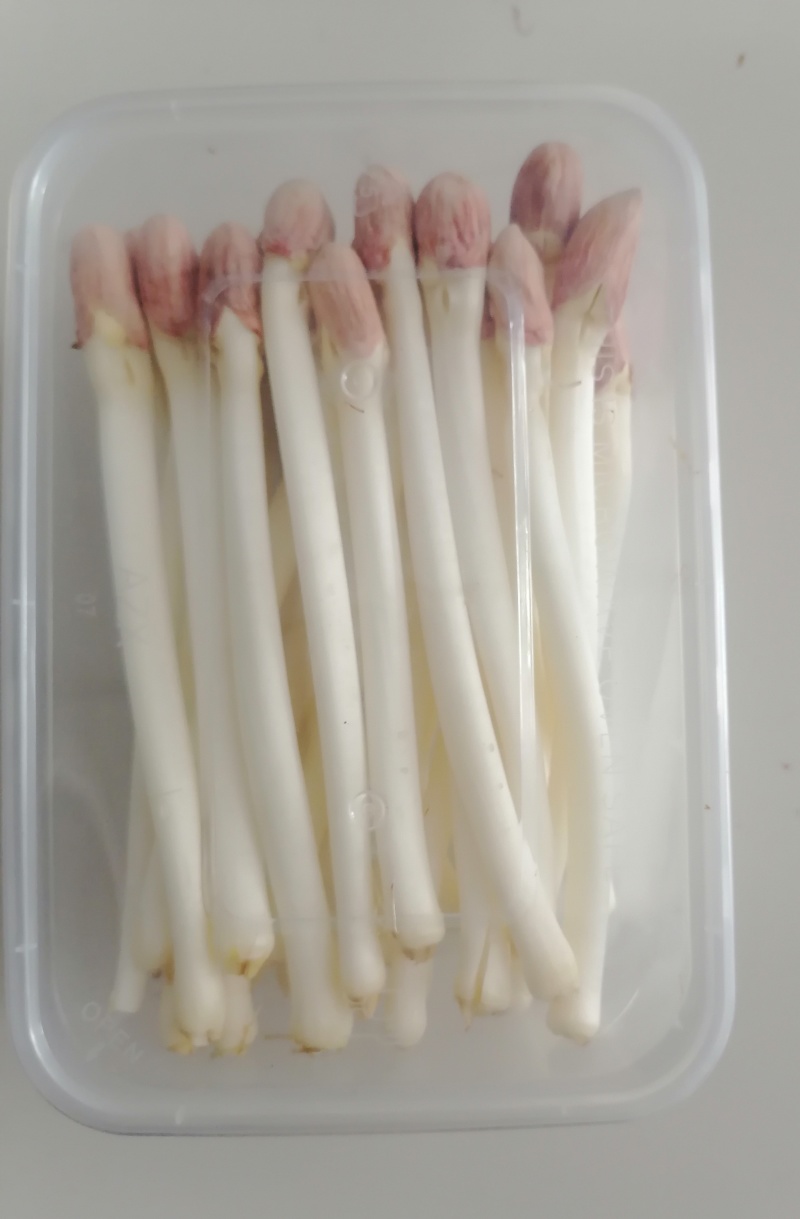 新鲜山东花生芽，保鲜发货，口感鲜美，有需要的联系
